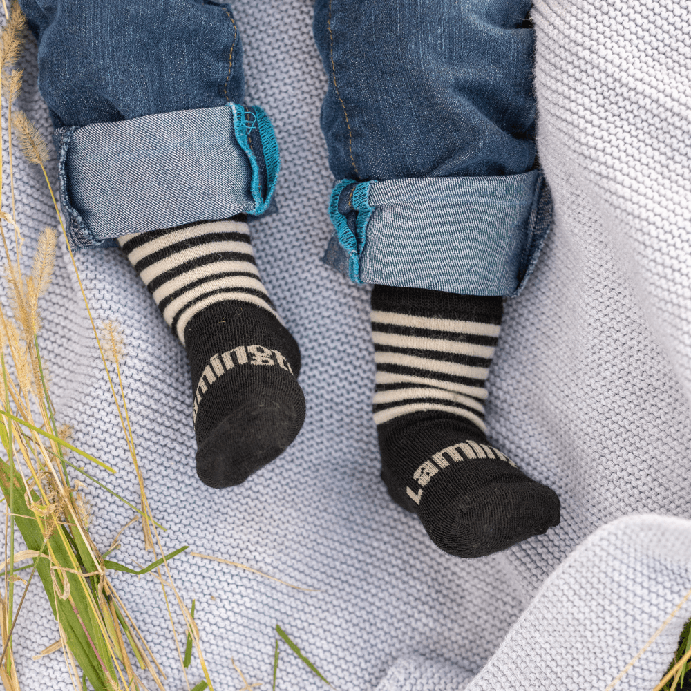 Lamington baby merino crew socks in black with latte stripes made in New Zealand.
