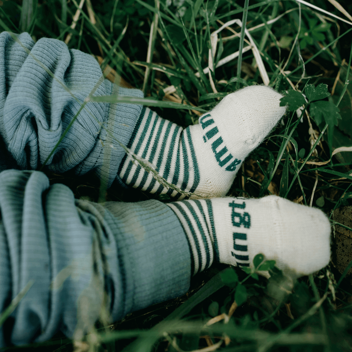 Merino Wool Crew Socks for Baby in Tui - Oatmeal with thin green stripes, soft and cozy for little feet.
