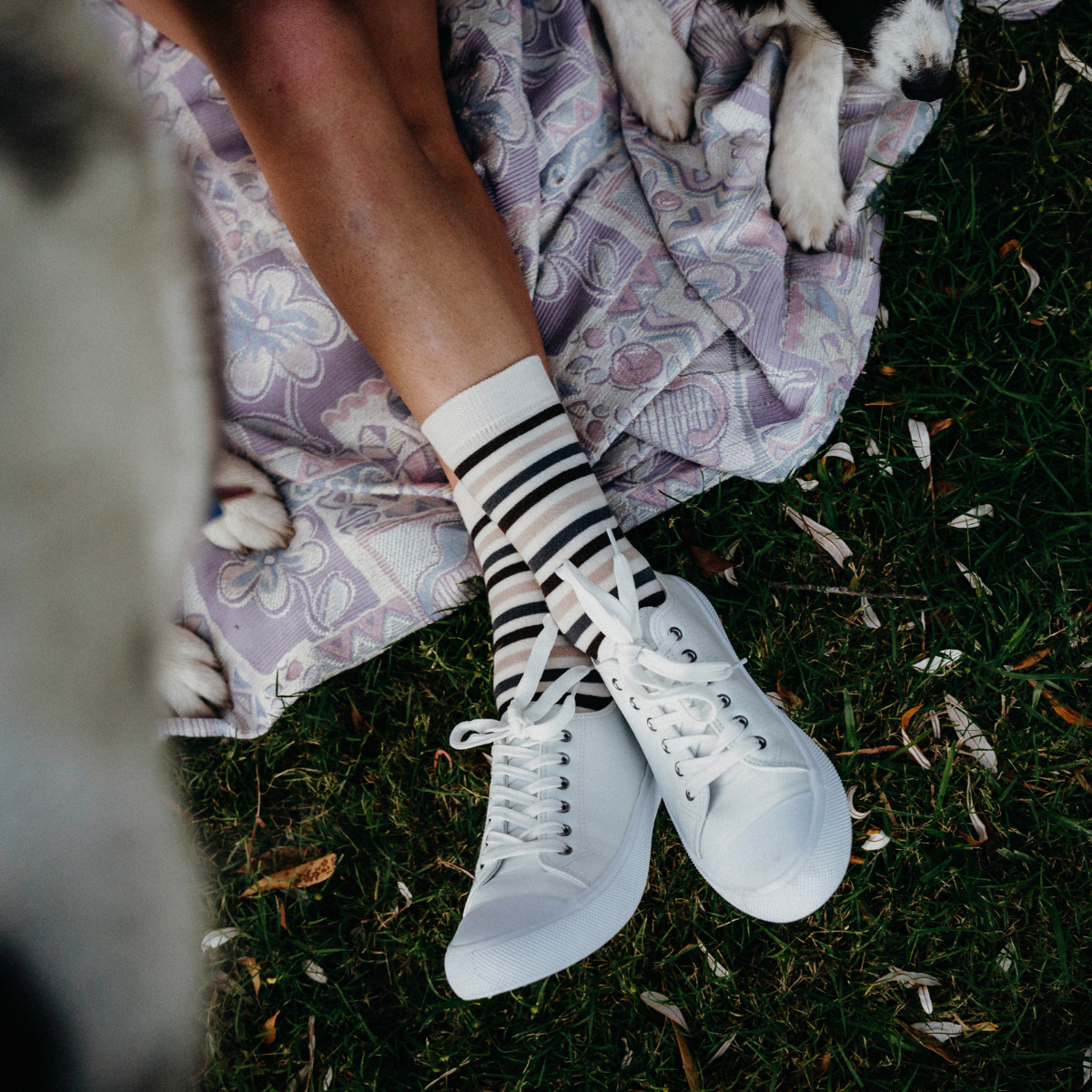 Womens merino wool crew socks cream and brown stripes by Lamington Australia